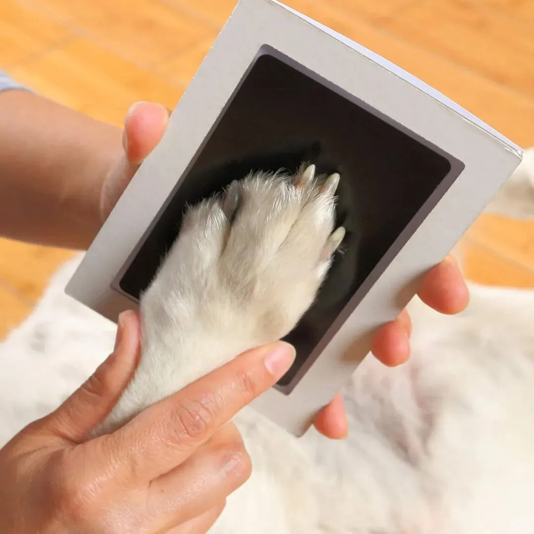 Trusty Paws Inkless Paw Print Keepsake Kit - No Mess, No Ink on Paws